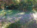 2015-09-29 09-33-59 Circuit Moulin Pen Castel - Port Navalo MBo